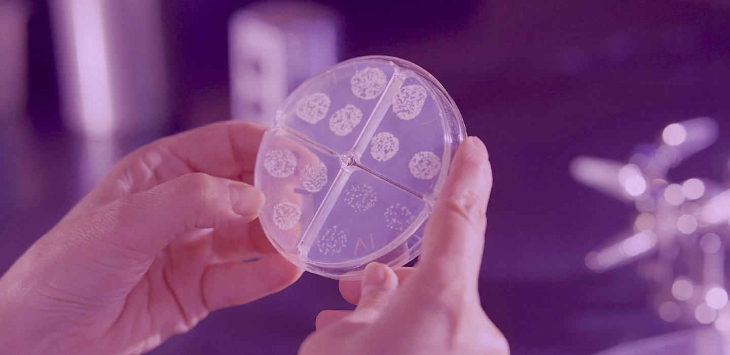 person holding a petri dish with samples