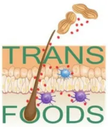 trans-food logo